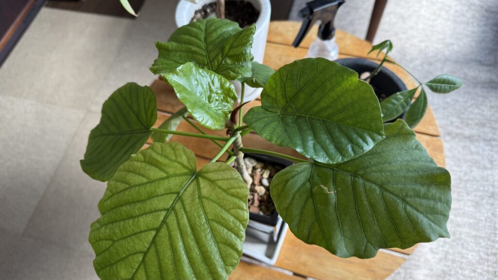 3/30
