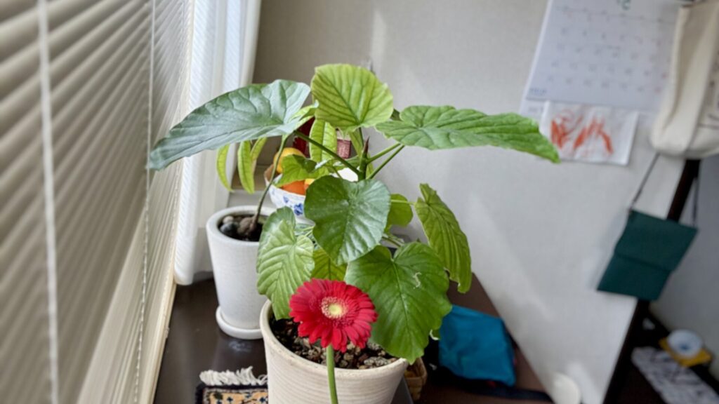 5/9