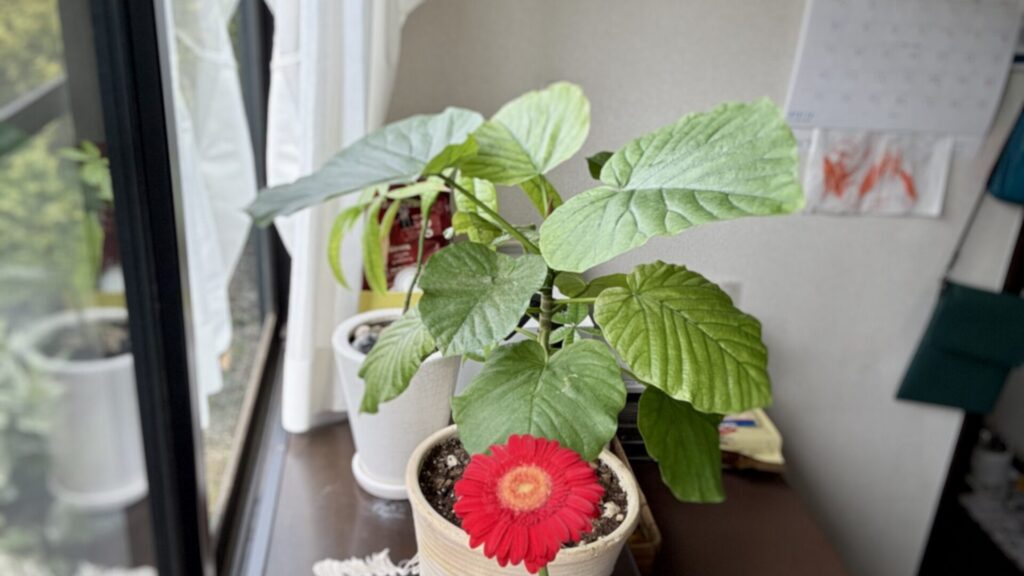 5/16