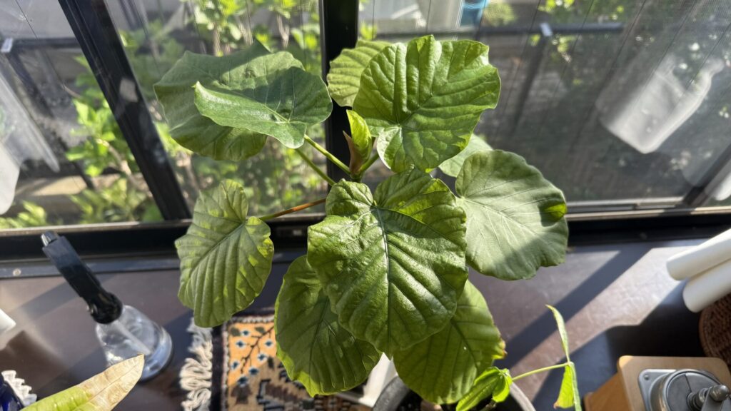 4/9