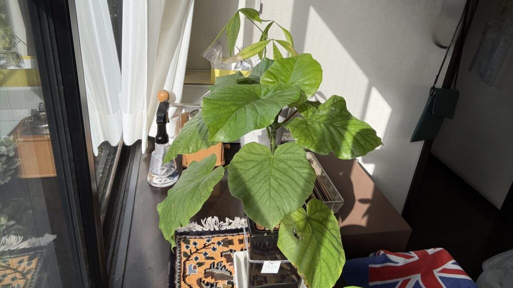 4/14