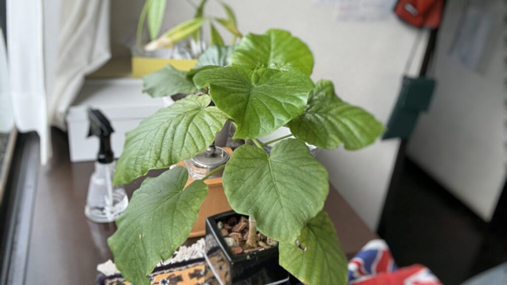 4/15