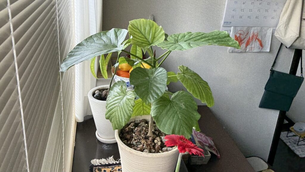 5/8