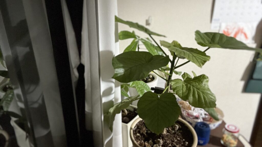 5/27